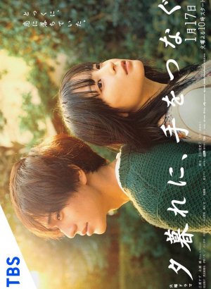 Держась за руки в сумерках