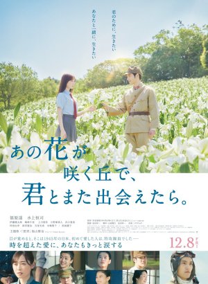 Если бы мы снова встретились на том холме, где цветут лилии