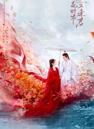 Когда цветы опадут, мы встретимся вновь дорама 2025