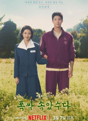 Когда жизнь дает тебе мандарины