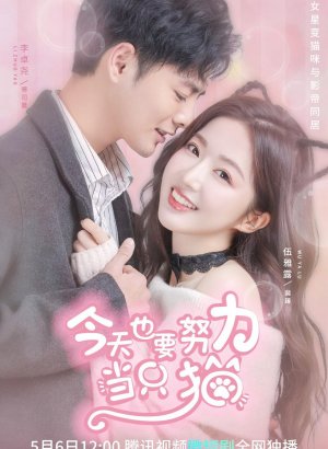 Моя любимая кошечка