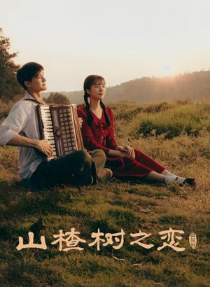 Под боярышником дорама 2025