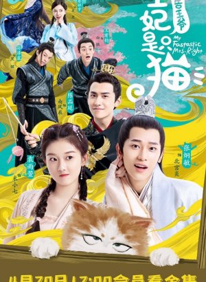 Принцесса - кошка