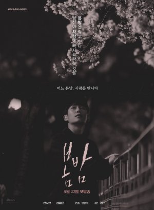 Весенняя ночь