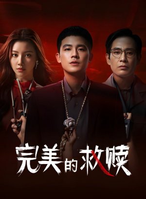 Идеальный подозреваемый дорама 2025